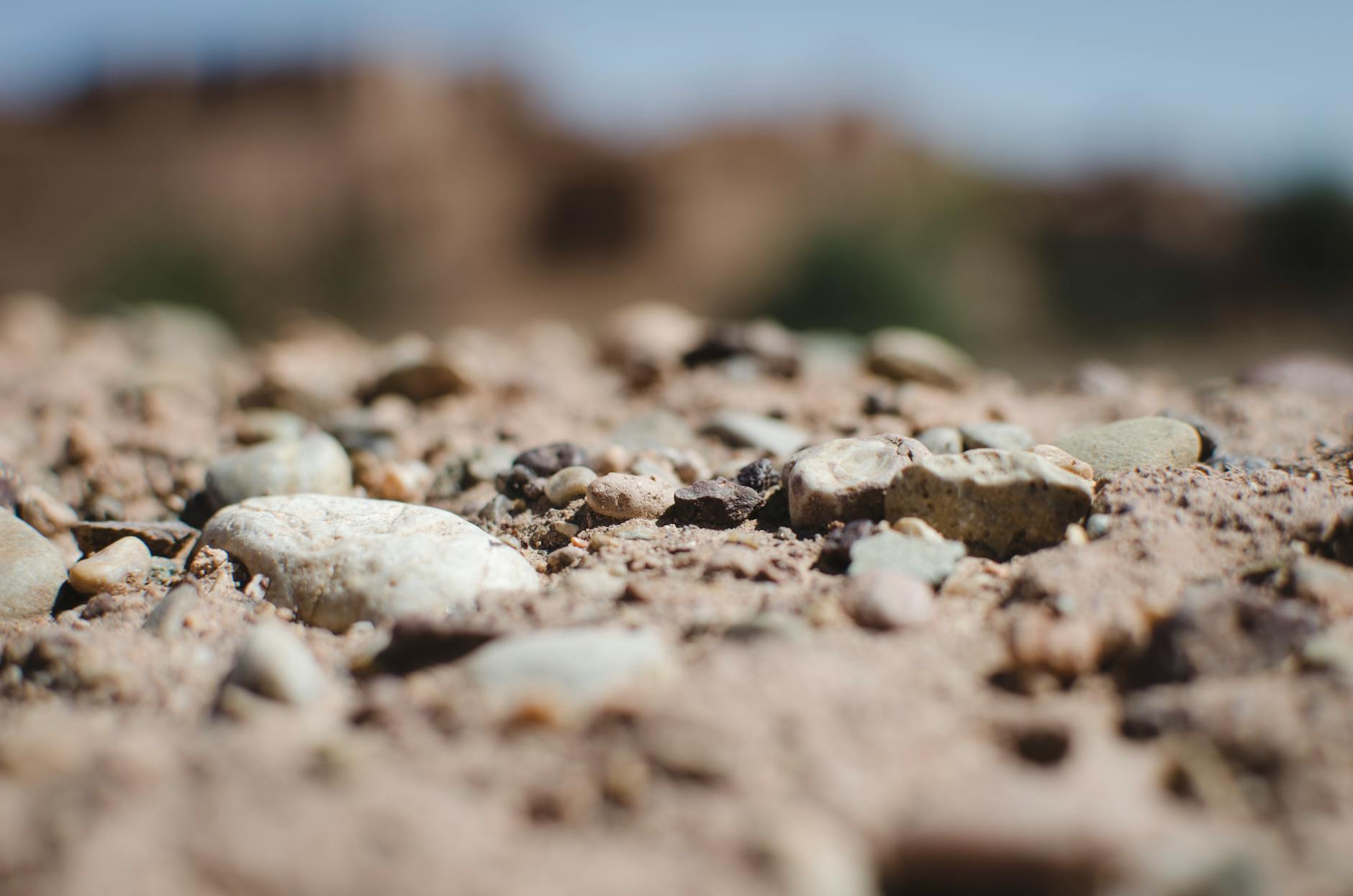 pexels-photo-943500